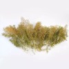 War World Scenics Seafoam Trees Box Mixed Size | Model
