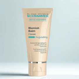 Dr. Schrammek BB Classic 40ml, No. 22-23, 1 unit / 닥터슈라멕 BB 클래식 40ml, 22~23호, 1개