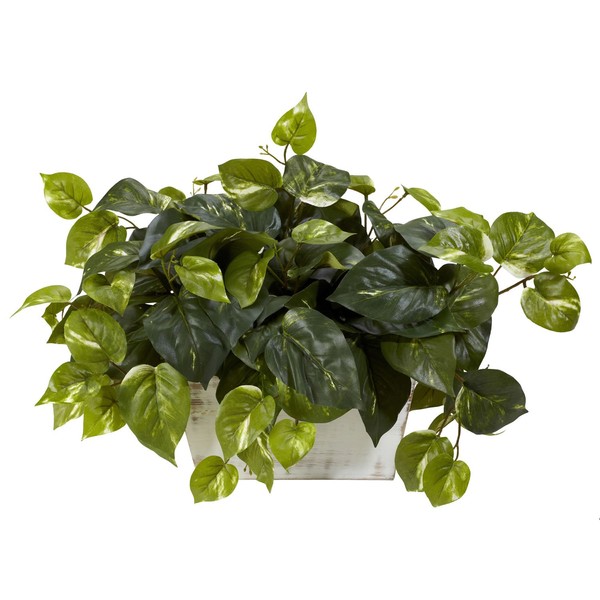 Nearly Natural 6713 Pothos with White Wash Planter Decorative Silk Plant, Green,20.5" x 12" x 6"