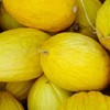 Crenshaw Melon Garden Seed - 1 Oz ~1,000 Seeds -