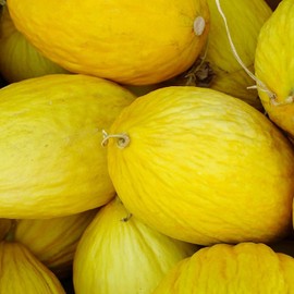 Crenshaw Melon Garden Seed - 1 Oz ~1,000 Seeds - Non-GMO, Heirloom Vegetable Gardening Seeds - Fruit