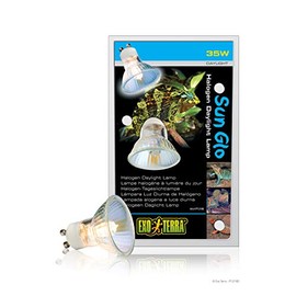 Exo Terra Sun Glo Halogen Daylight Lamp, GU-10 Reptile Light Bulb, 35 Watts, PT2180A1