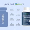 Wellthy Bisglicinato Magnesio 300 Cápsulas 432mg 100 Natural Alta Absorción