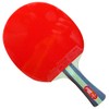 DHS A3002 3 Star Table Tennis Bat