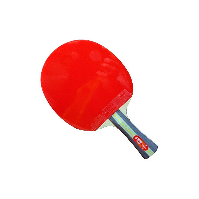 DHS A3002 3 Star Table Tennis Bat