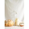 Rories Organic White Spelt Flour (5 lb)