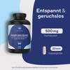 True Nature Propionic Acid - High Dose - 500 mg/day