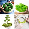 uxcell Preserved Reindeer Moss, 14oz Fake Moss for Crafts Artificial