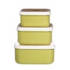 Sass & Belle Desert Dino Lunch Boxes - Set of