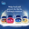 Vaseline Lip Therapy Cocoa Butter, Nourishing Lip Balm for Optimal