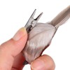4Pcs Artificial Birds Vivid Looking Real Bird Photo Props with