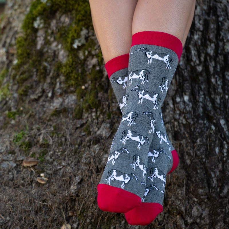 WHD Cow Lovers Socks 1-Pack (Raspberry, Large)