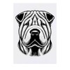 'Chinese Shar-Pei' Temporary Tattoo - Water Resistant, Skin-Safe, Non-Toxic Transfer