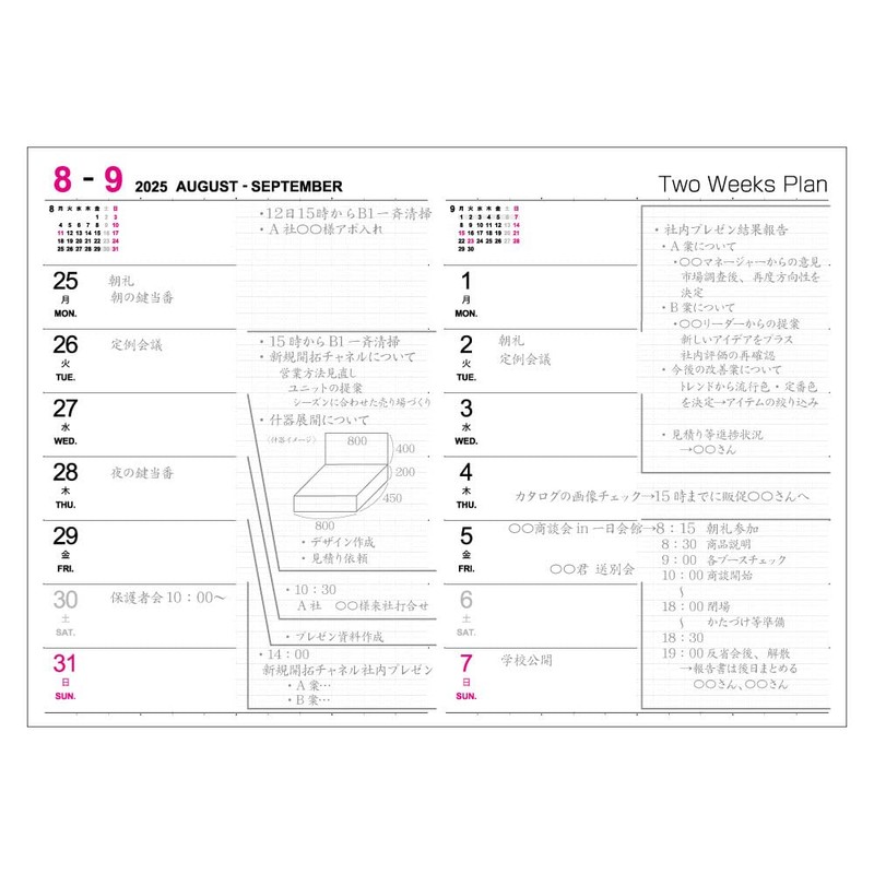 Logical Diary NS-A604-25AD 2025 Two-Week A/A6/Black