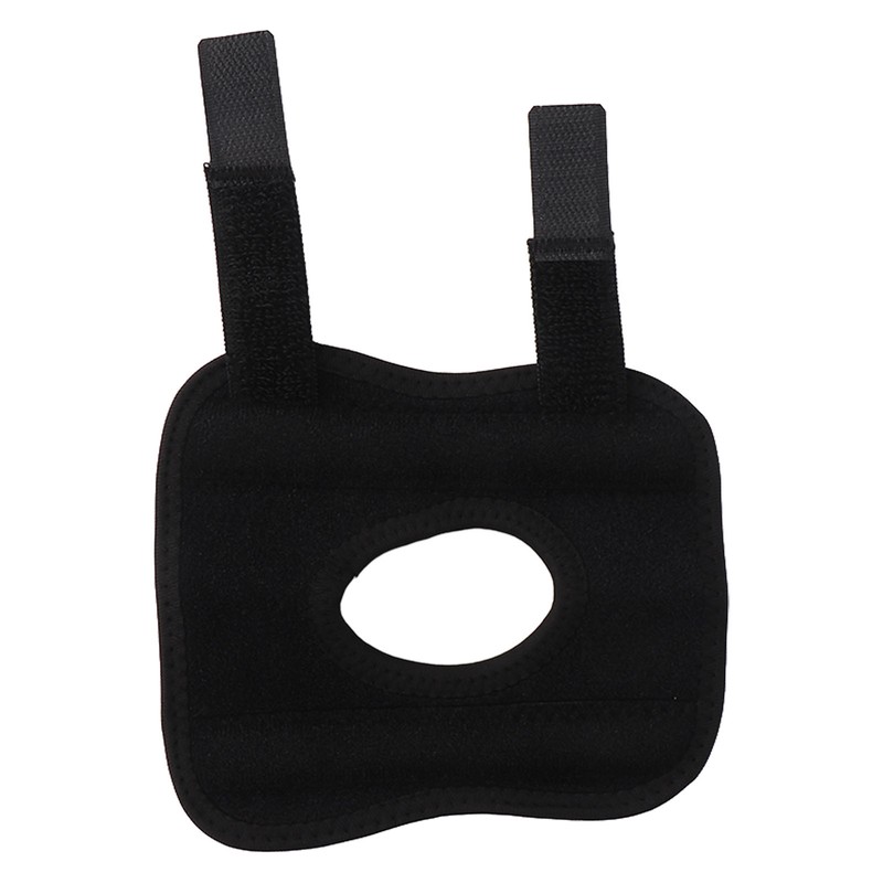 Dog Rear Leg Brace Prevent Licking Fixing Strap Spring Support