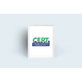 CERT Lapel Pin Community Emergency Response Team Silver Logo US FEMA - A 74