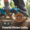 Seesii 2-IN-1 Cordless Pole Saw & Mini Chainsaw 6 inch