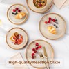 LERATIO Ceramic Dinner Plates Set of 6, 10.5 Inch Reactive