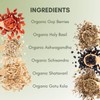Organic Adaptogen Herbal Tea - 2oz Bag (Approx. 30 Servings)