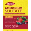Ammonium Sulfate 21-0-0 Fertilizer with Nitrogen and Sulfur | Lowers