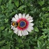 Vivid Arts - Hanging Zulu Daisy/Bee - HGF-026