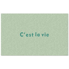 speed mao Pastel Color Entrance Mat Outdoor Indoor Mud Removal Loop Mat Cute (Mint)