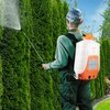 VEVOR Battery Powered Backpack Sprayer, 0-90 PSI Adjustable Pressure, 4