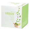 Urban Greens Grow Kit Kitchen Herbs - Basil, Parsley, Thyme, Sage & Chives - 10x10cm