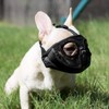 Bozales Cortos para Perro, bozal de Malla Transpirable Ajustable para