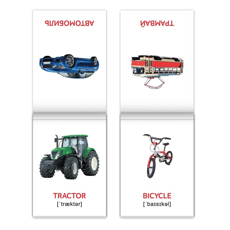 Russian English First Words Flash Cards, 8 pcs - Learn