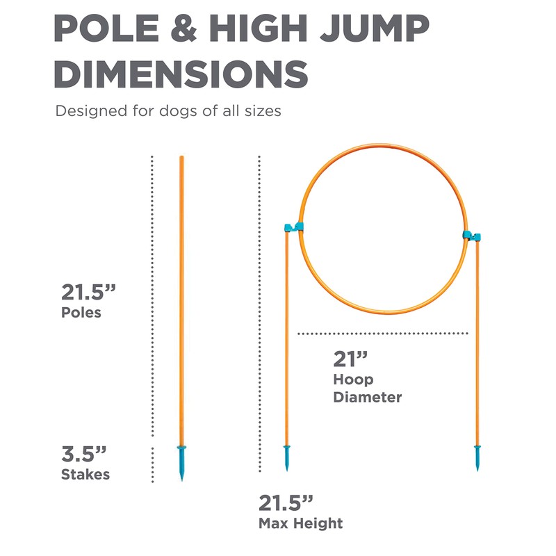 Outward Hound Zip & Zoom Outdoor Dog Agility Training Kit