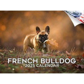 2024 2025 French Bulldog Calendar - Dog Breed Monthly Wall Calendar - 12 x 18 Open - Thick No-Bleed Paper - Giftable - Academic Teacher's Planner Calendar Organizing & Planning - Made in USA