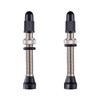 HZJD Pack of 2 Bicycle Tubeless Air Valve Stem, Tubeless