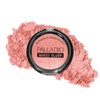 Palladio Rubor Horneado Berry con Destellos, Pigmentación Intensiva