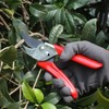 WOLF-Garten Rr-En, garden shears, 23 x 5 x 5 cm