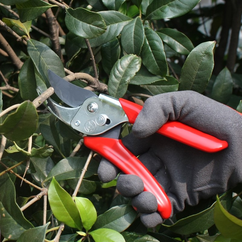 WOLF-Garten Rr-En, garden shears, 23 x 5 x 5 cm