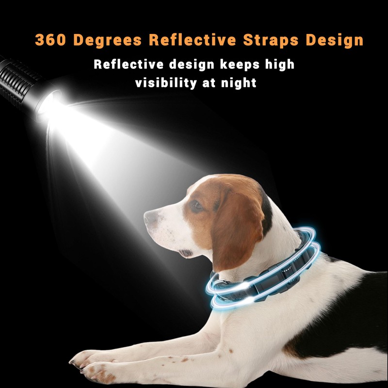 LIEVUIKEN 2 Pack Reflective Dog Collar with Safety Locking Buckle,