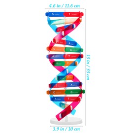 NUOBESTY 1 Set DNA Model, Double Helix Human DNA Model Toy Science Education Toy Biology Decor for Classroom, 4.56 x 4.56 x 12.99 Inch