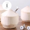 Duoduole 4 Pcs Coconut Opener Tool Stainless Steel Coconut Hole