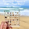 Biglumin Acrylic Box - 36 Compartments Acrylic Box Magnetic Seashell