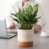 Chubacoo Self Watering Plant Pot: 6 Inch Ceramic Planter with
