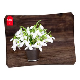 Place Mat - Snowdrop in Pot - 12 Pieces Made in Germany, 44 x 32 cm Made of Special Natural Paper in Storage Folder - The Special Table Decoration for Spring, Easter & Flowers