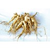 American Ginseng Transplant Roots 4 Years (Premium Quality, Seed Producing