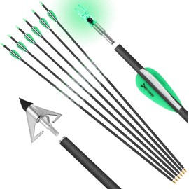 DEEPOWER 6 Pack 31 inch 100% Carbon Arrows with Lighted Nocks and Broadheads for Compound Bow and Recurve Bow Shaft Spine 350/400/500
