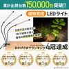 BSG Sangyo Plant Growing Light, LED (Japanese Brand) 100W Equivalent,