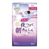 Daio Paper (More 1) Natura Night Wear Morning Safety Absorbing
