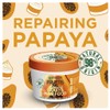 Garnier Fructis Hair Food Papaya 390mL