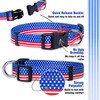 (Medium, Flag II) - Native Pup American Flag Dog Collar