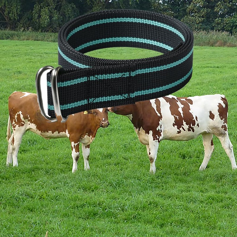 The Cow Collar is Adjustable in Size, Suitable for Managing
