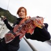 RUDIE’S (Rudies) Gyoshiko Metal ~Hirari~ (Gyoshi Metal Hirari) (Akara Me